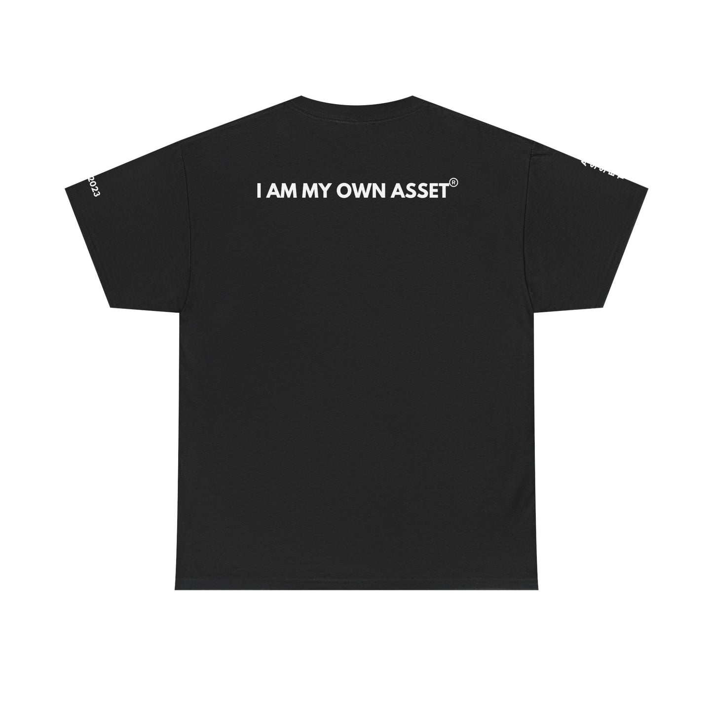 Empowering Statement Tee - I AM THE ASSET, Unisex Cotton Shirt for Motivation, Gift for Entrepreneurs, Casual Wear